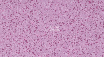 Линолеум Mipolam Affinity 4482 Orchid фото 1 | FLOORDEALER